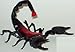 Phil Seltzer Scorpion-Lifelike Rubber Replica 6