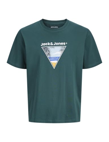 Jjperry Tee Ss Crew Neck