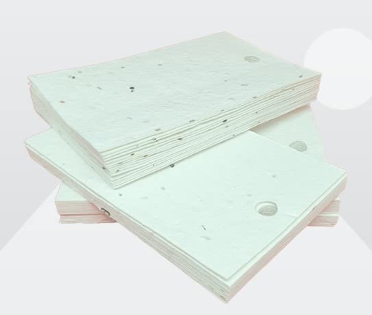 25 Plantable Seed Paper Tags – 85mm x 55mm – Pre-Punched Recycled Wildflower Cards for Gifts, Crafting & Favors – Perfect for Ink Stamping