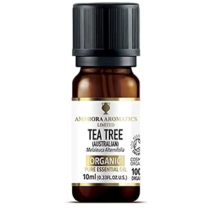 Amphora Aromatics Cosmos Organic Tea Tree Essential Oil (Australian) 10ml