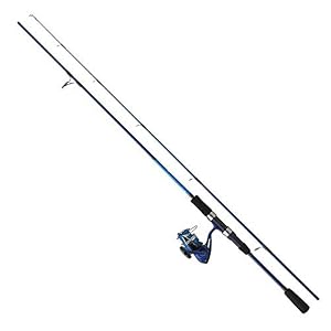Daiwa Ensemble Set Dw 01/02/03-210, 14-42