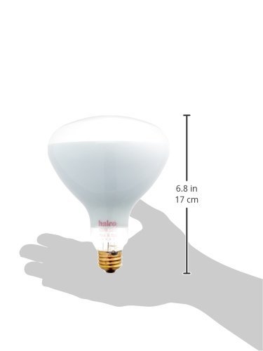 Halco BC2810 14042 R40FL500/HG #104042 Halogen Light Bulb