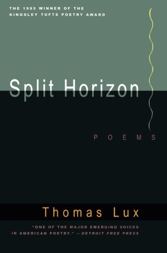 Split Horizon