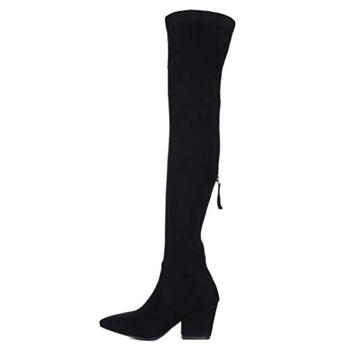 ShoeN-Tale-Womens-Chunky-Heel-Back-Zipper-Sexy-Pointed-Toe-Over-The-Knee-Thigh-High-Boots
