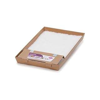 https://images-na.ssl-images-amazon.com/images/I/31dP%2BX1-mvL._UL320_.jpg