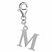 Pro Jewelry Dangling Letters Clip on Pendant Charm for Bracelet or Necklace (M.)