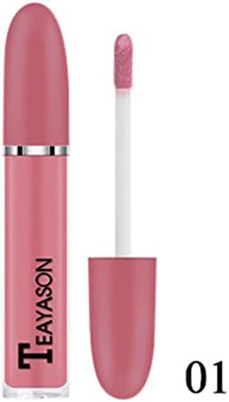 Dreamyth New Long Lasting Lipstick Waterproof Matte Liquid Lip Gloss Lip Liner Cosmetics Durable (Multicolor A)