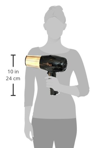 Gold 'N Hot GH8135 Professional 1875-Watt Dryer with Styling Pik