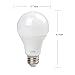 LED RGB Remote Light Bulb - Sendida A19 12W E26 E27 LED Mood Light Color Changing Lamp, Dimmable with 2.4G RF Wireless Remote Control Décor Colors Lighting Bulb