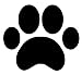 SecurePro Products - 16 Large Paw Prints Premium Quality Decal Stickers - Our Amazing Super Tac Adhesive Holds Strong; Easily Re-Position and Reuse, Easy to Remove, 5.25