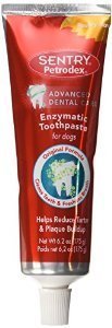 Petrodex Enzymatic Toothpaste for Dogs - Poultry Flavor, 2.5-Ounce, 2 Pack