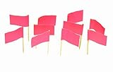 Hot Pink Flag Toothpicks (100)
