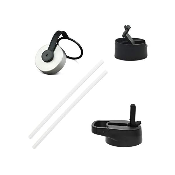 Iron Flask Sports Water Bottle 14 Oz, 3 Lids (Straw Lid), Leak Proof, Vacuum Insulated