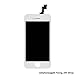cellphoneage Touch Screen Replacement LCD Screen Display With Touch Screen For iPhone 5S (White)