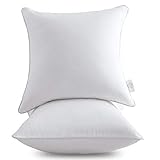 Oubonun 20 x 20 Pillow Inserts (Set of 2) - Throw