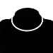 Fit&Wit Bridal Wedding Jewelry Crystal Rhinestone Collar Choker Necklace Silver (1-row Cz Rhinestones)