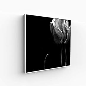 Canvas Wall Art for Living Room, Bedroom Monochrome Image Framed Canvas Prints for Home Decoration Ready to Hang - 16x16 inches