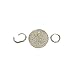 14k White Gold 1.5mm Thickness Small Huggie Earrings (8 x 8 mm)