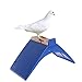 Abicial Pigeon Bird Stand, Pigeon Perch Plastic Heat Resistance Dove Rest Roost Bird Stand Holder Suppliesthumb 3