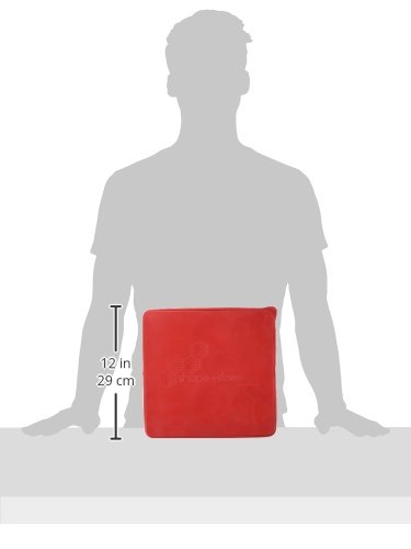 Shape+Store Burger Master Innovative 8-in-1 Burger Press & Freezer Container Makes 8 Quarter-Pound Burgers 32 Oz., Tasty Amazing Burgers, Easy-To-Clean & Dishwasher Safe