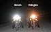 Xenon HID Hyper H6 Headlight Blue/White Bulbs Lights for Kawasaki KFX 400 2003–2004 03-04