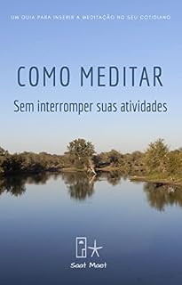 Livro COMO MEDITAR sem interromper as suas atividades: Um guia para inserir a meditação no seu cotidiano