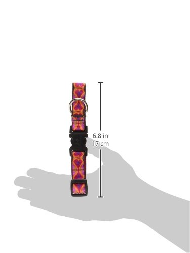LupinePet Originals 3/4" Heart 2 Heart 9-14" Adjustable Collar for Small Dogs