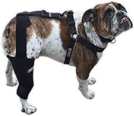 Walkabout Knee Brace medlarge Left