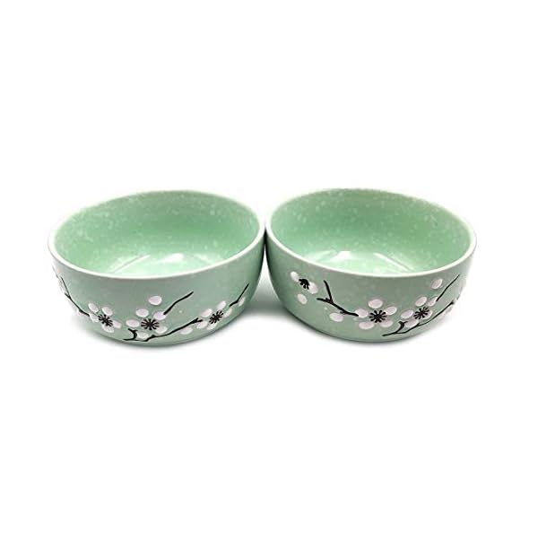 Tableware Suits with Chopsticks Package Japanese China Style Porcelain Bowls Set 2 Bowls for Sushi Noodle Dinnerware…