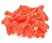SweetGourmet Gummy Red Lobsters | Raspberry Candy | 1.5 Pounds