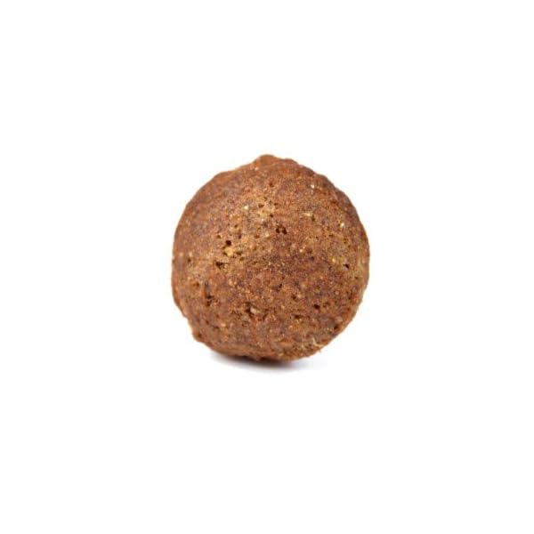 Arden Grange Adult Large Breed Dry Dog Food with Fresh Chicken and Rice, 12 kg