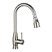 Kitchen Faucets, LiFu Stainless Steel Simplice Single Handle Pull-Down Sprayer Kitchen Faucet, Pull Out Kitchen Sink Faucet