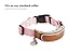 LINK AKC Smart Dog Collar - GPS Location Tracker, Activity Monitor, and More, Extra-Large (KITTN04)