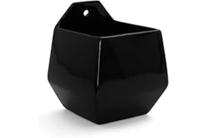 Milltown Merchants Succulent Wall Planters - Wall Vases - White Ceramic Wall Mounted Planters - Succulent Plant Pots - Hanging Vases for Living Wall (2 Pack/Contemporary/Black)