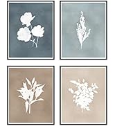 Haus and Hues Botanical Plant Wall Art Prints - Set of 4 Plant Wall Decor Prints, Floral Kitchen ...