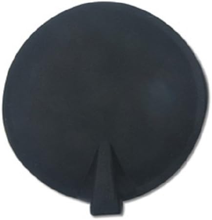 Roscoe 2" Round Black Carbon Electrode Pack of 2