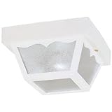 Westinghouse 66975 One-Light Porch-Light (Tools & Home Improvement)