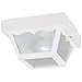 Westinghouse Lighting 6697500 Traditional One-Light Outdoor Flush-Mount Fixture, White Finish on Polypropylene, Frosted Glass Panels
