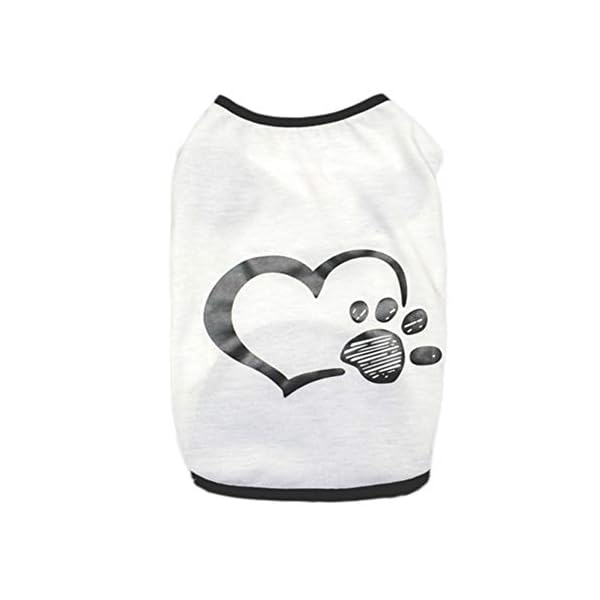 WFWUK Vestiti per Cani Taglia Media Cappottino Cane Estate Abbigliamento Cani Estate Vestiti Carini Vestiti per Cuccioli…
