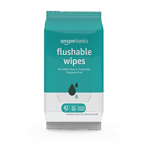 AMAZON BASICS FLUSHABLE ADULT TOILET WIPES, FRAGRANCE FREE, 42 COUNT (PACK OF 8) (TOTAL 336 WIPES) (PREVIOUSLY SOLIMO)