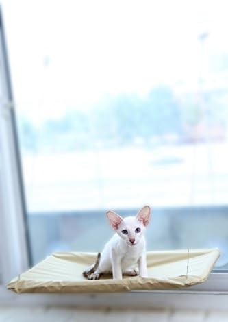Sunny Seat Window-Mounted Cat Bed Cat Window-Mounted Perch Window Seat Suction Cups Space Saving Cat Hammock Pet Resting Seat Safety Cat Shelves - 360° Sunbath for Cat with Cat Pad Weight to 30lb