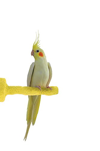 Sweet Feet and Beak Thermal-Lite Natural Patented Perch, Small - Yellow- Perfect for Keeping your Bird's Feet and Beaks Healthy