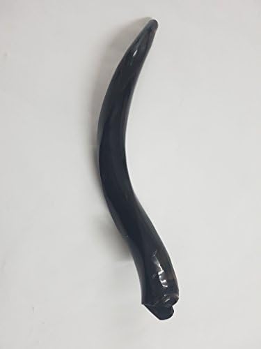 Shofar Kosher Yemenite Kudu Horn Full polish Size Mini 16"-20"