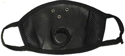 Mrlahat Mask W/Filter Respirator Washable Earloop Mask Dust Pollen Mouth Mask