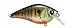 6th Sense Fishing Crush Series Crankbait