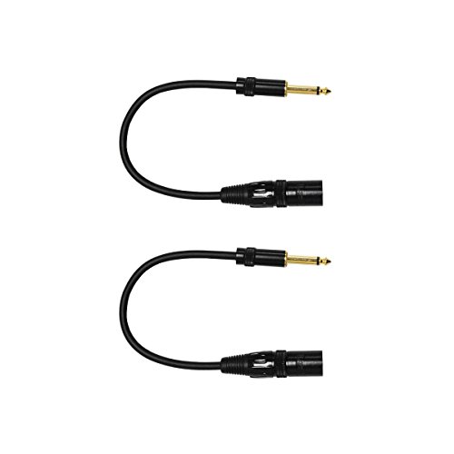 Audio 2000s 1/4 inch TS to XLR Male Audio Cable (1 Feet 2Pack)