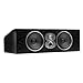 Polk Audio CSI A6 Center Channel Speaker (Single, Black)