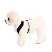 Gooby Comfort X Head In Harness - Black, Medium - No Pull Small Dog Harness Patented Choke-Free X Frame - Perfect on the Go Dog Harness for Medium Dogs No Pull or Small Dogs for Indoor and Outdoor Use