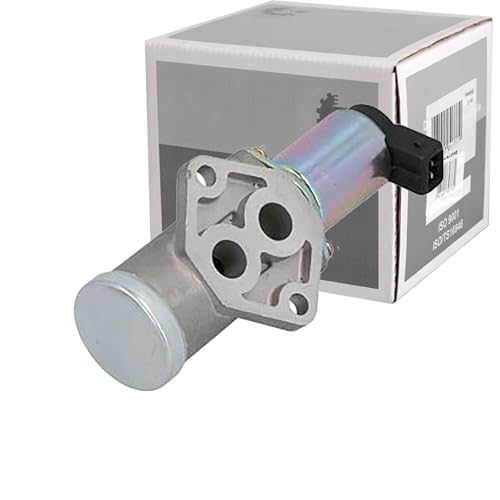 ESEN SKV Vanne de régulation du ralenti, alimentation en air 08SKV221