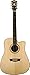 Washburn WD20 Series WD20SCE Acoustic Electric Guitar